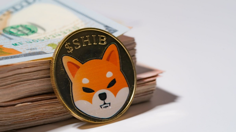 За сутки на криптобиржи поступили Shiba Inu (SHIB) на сумму млрд
